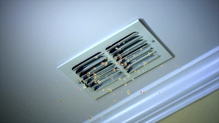 Best Emergency Air Duct Cleaning  in Despard, WV