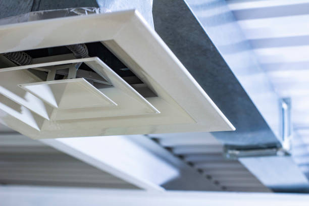 Best Air Vent Cleaning Services  in Despard, WV