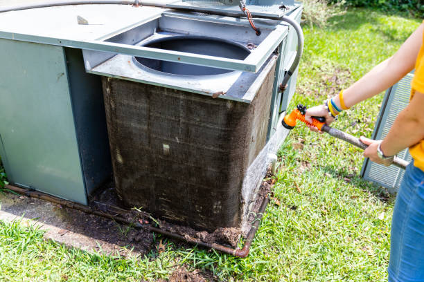 Best Affordable Duct Cleaning Services  in Despard, WV
