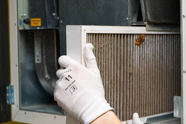 Best Dryer Vent Cleaning Services  in Despard, WV