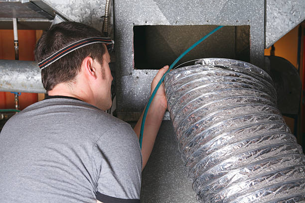 Best Home Air Vent Cleaning  in Despard, WV