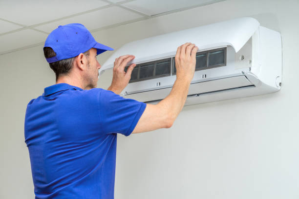 Best Emergency Air Duct Cleaning  in Despard, WV