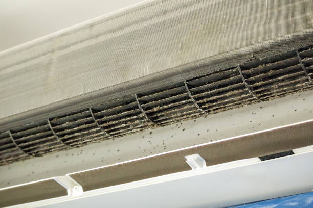 Best Residential Air Duct Cleaning  in Despard, WV