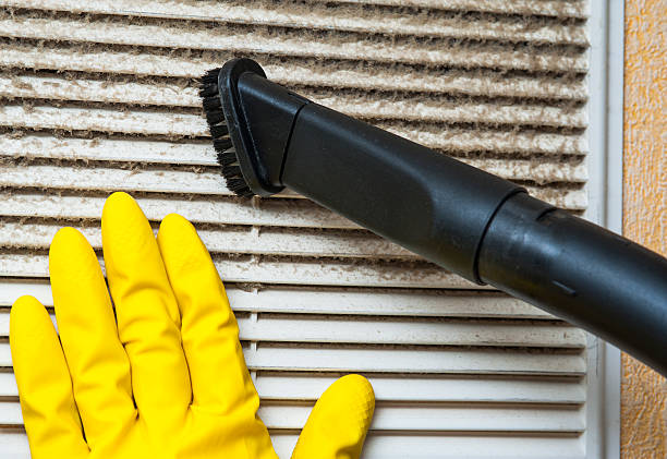 Best Professional Duct Cleaning Services  in Despard, WV