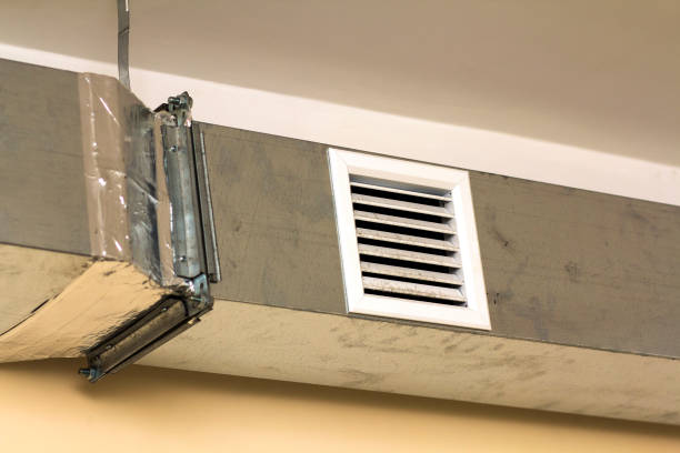 Best Local Air Duct Cleaning Services  in Despard, WV